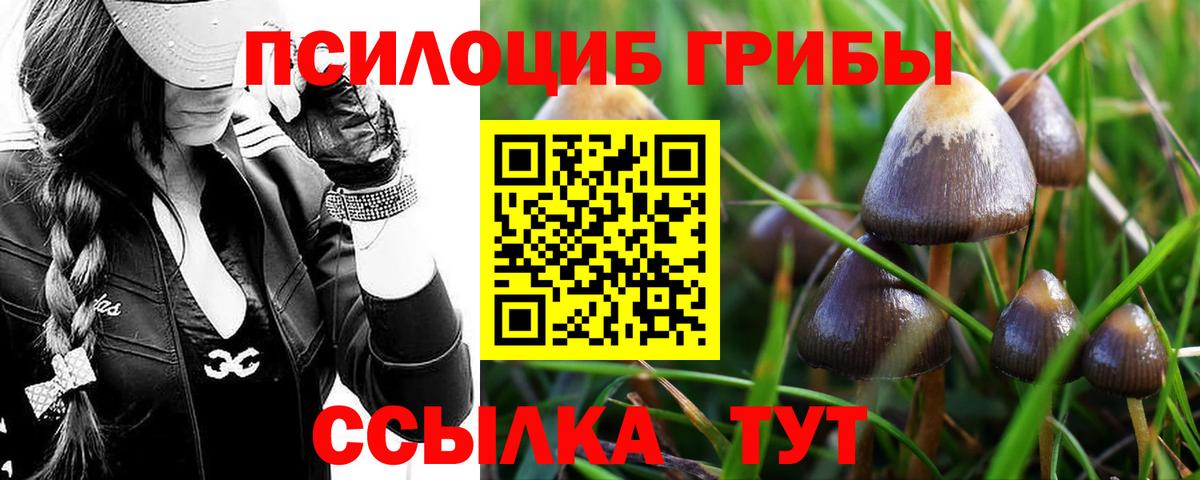 Сергиев Посад  Псилоцибиновые грибы ЛСД  Вход с VPN 